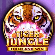 Tổng quan luật chơi casino trực tuyến tại v9bet nổ hũ