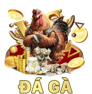 Tỷ lệ chuyển đổi cao
